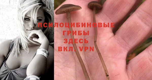 не бодяженный Заводоуковск