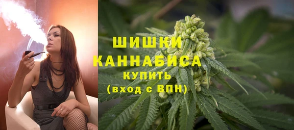 не бодяженный Заводоуковск