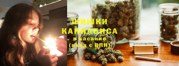 не бодяженный Заводоуковск