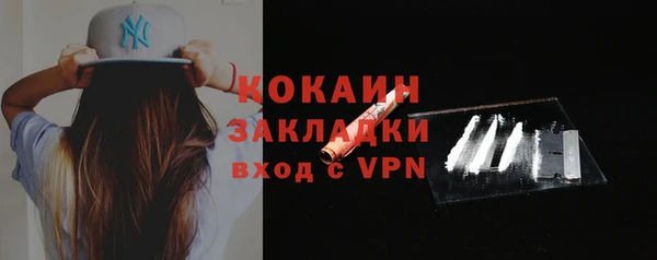 не бодяженный Заводоуковск
