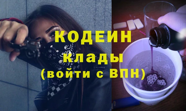 не бодяженный Заводоуковск