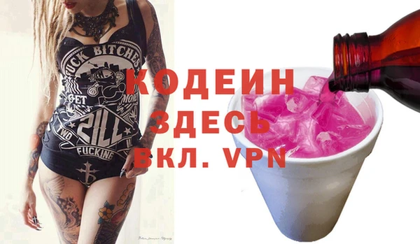 не бодяженный Заводоуковск