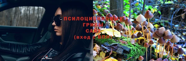 мдма Заволжск